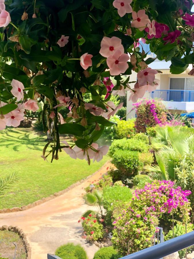 Holiday Apartment Walking Distance To The Sea Paphos Exterior foto